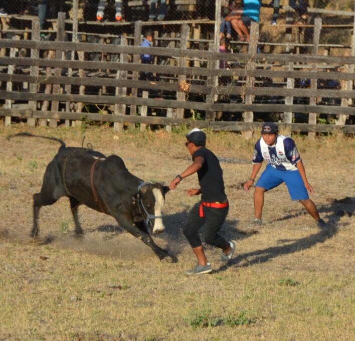 boaco-cabalgata-aniversario